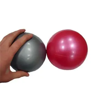 

1lb - Weighted Pilates Ball (SINGLE) - SILVER