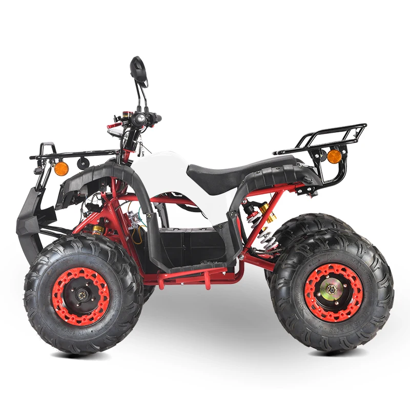 Фото Электрический мотоцикл-квадроцикл Rs Eec Coc 2000W 3000W, недорогой, в продаже №4