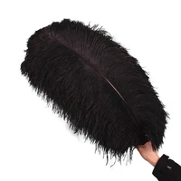 black ostrich feathers for decoration plumes decor 15 70cm big ostrich feather holiday vase party table centerpieces accessories