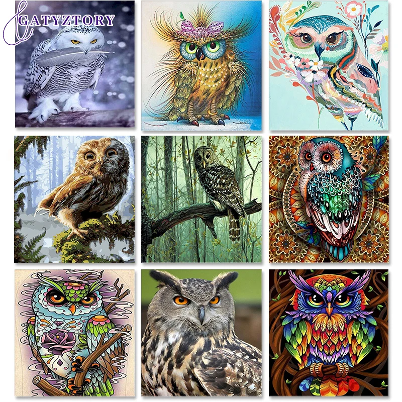 

GATYZTORY Owl Paint By Numbers Animals DIY 40x50cm Oil Painting By Numbers On Canvas Frameless Digital Hand Painting Home Decor