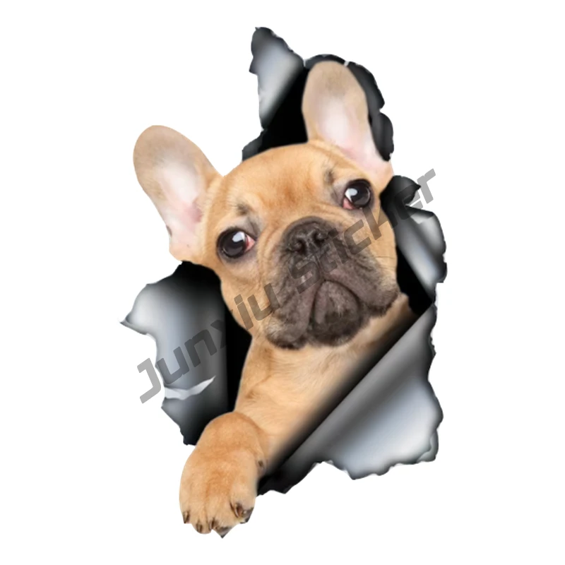 

Beautiful French Bulldog Self-adhesive Decal Car Sticker Waterproof Auto Decors Reflective on Bumper Rear KK13*10cm