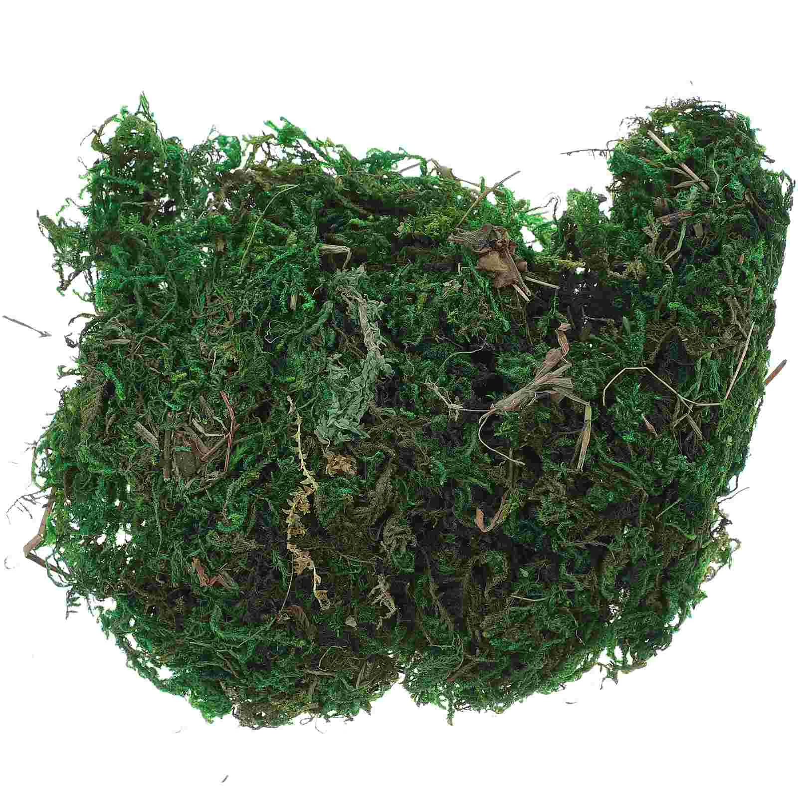 

Artificial Fake Faux Green Lichen Indoor House Potted Simulation Natural Decor Dried Crafts Lifelike Preserved Filler Craft