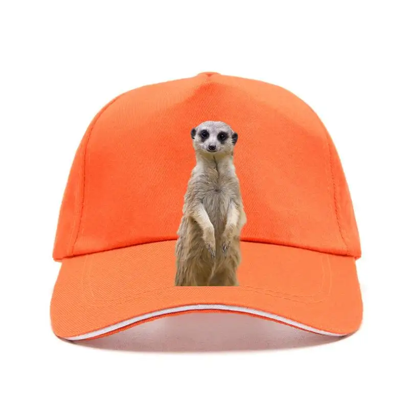 

New cap hat eerkat fahionabe Brand 824%cotton Printed Round Neck cheap whoeae Baseball Cap