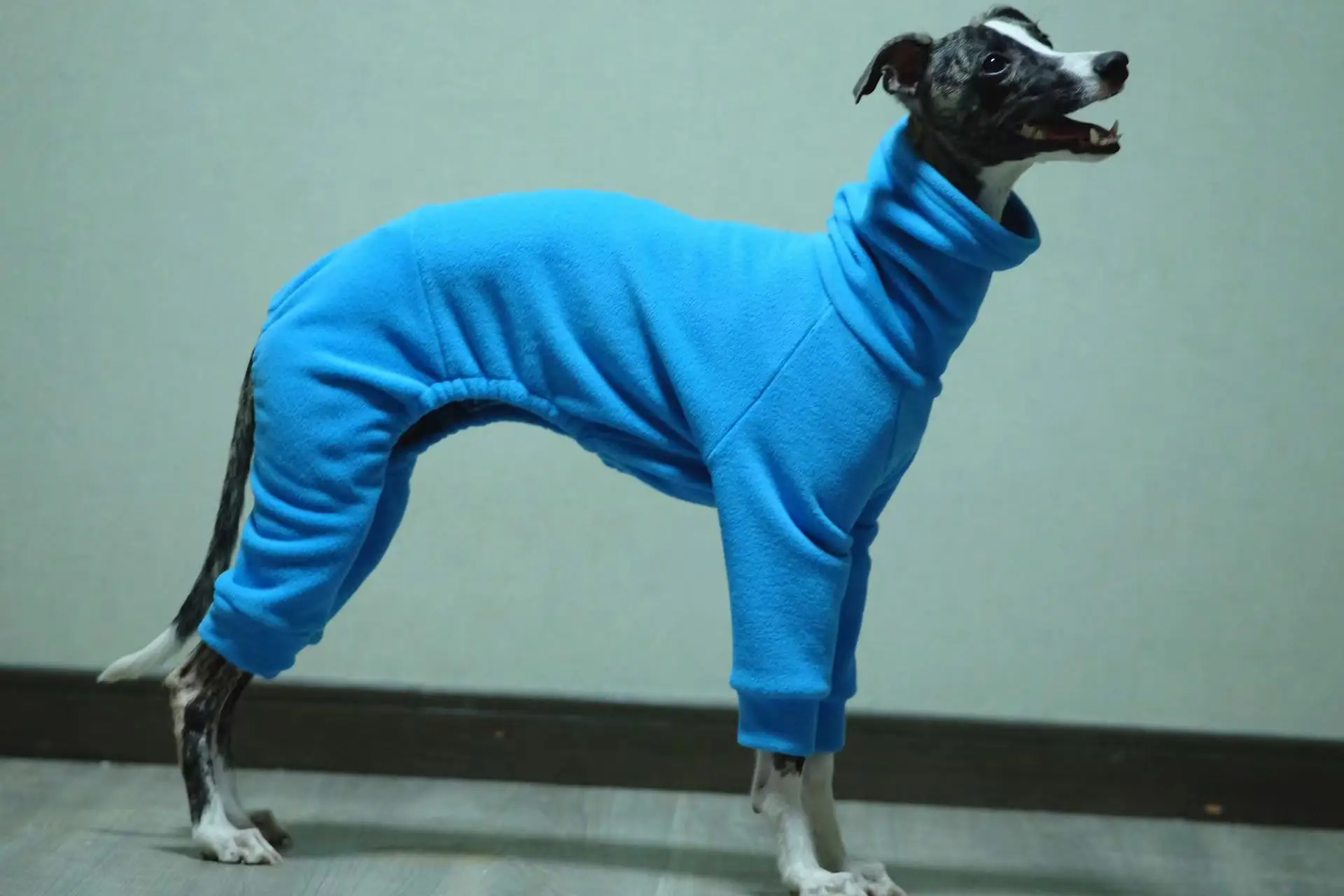 

Whippet Polar Fleece Turtleneck Four Legged Jacket Blue Italian Greyhound Winter Clothes