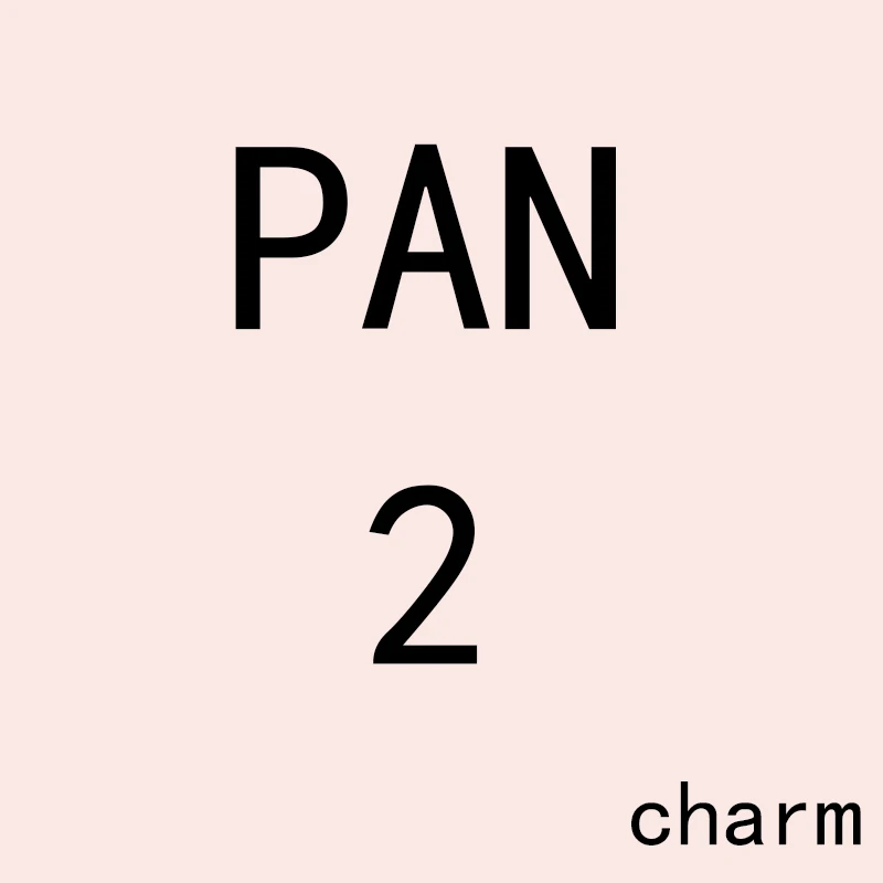 

PAN Charm 2