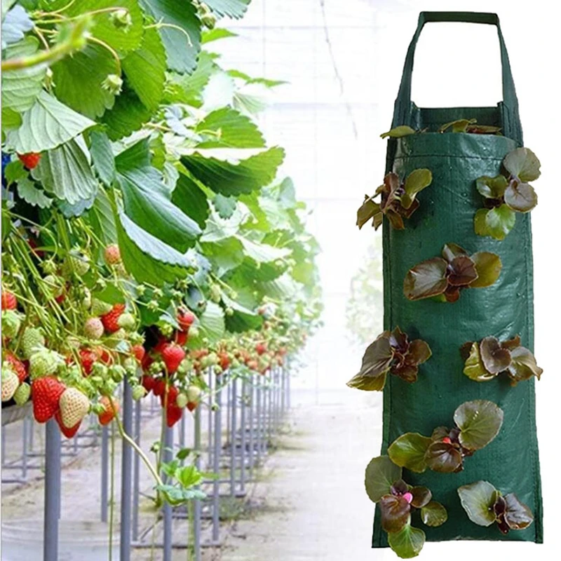 

Multi-Mouth Grow Bag Wall Hanging Pot Planter Reusable Potato Tomato Planting Pot 4 6 8 10 Pockets Flower Vegetable Growing Bags