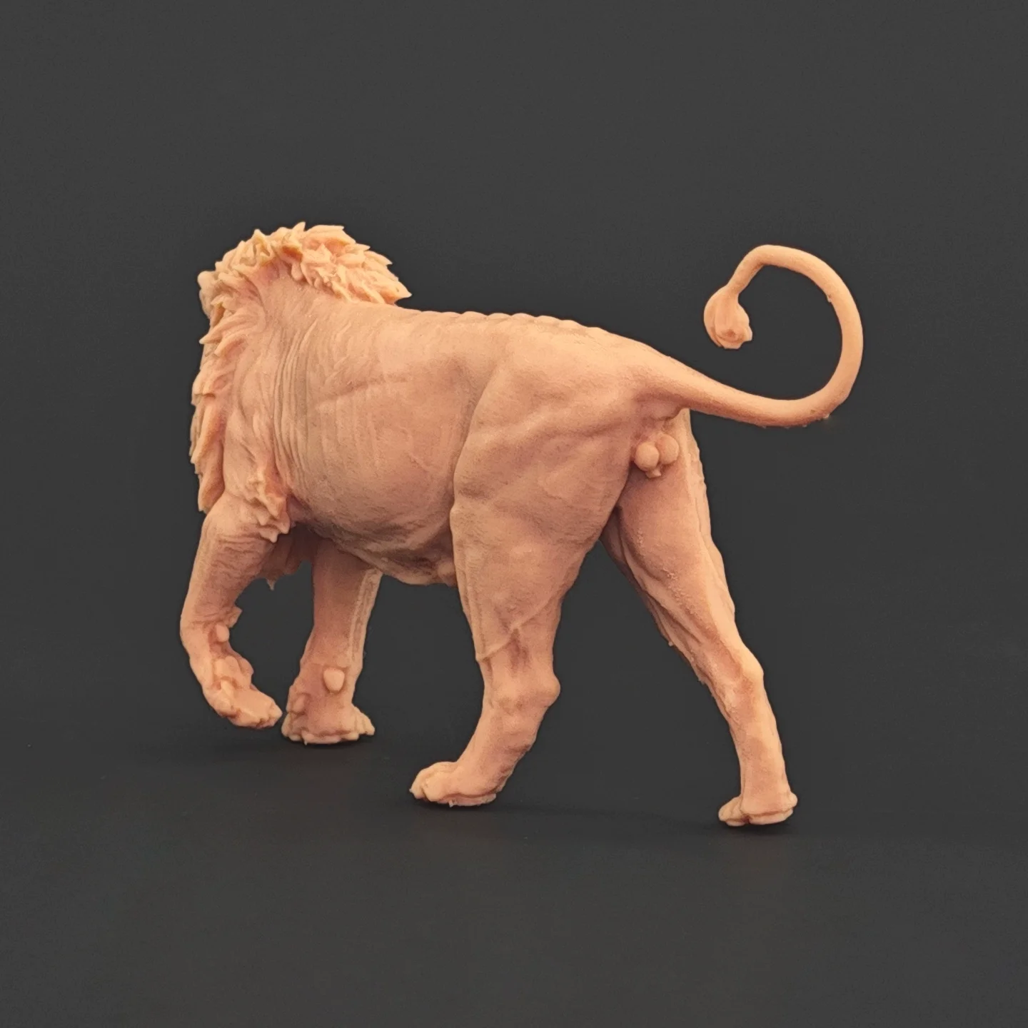 Фото 1/35 6,8-13 см Panthera leo Модель игрушки Древняя доисторическая модель животного Gk Настроить 3D-печать №3