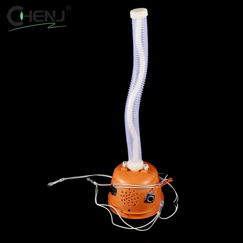 1 шт. вращающаяся игрушка-кактус