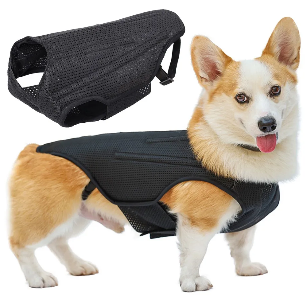 

Dog Disc Protection Support Vest Pet Dog Back Brace Pain Relief HarnessRecovery After Spine Surgery for Various Sizes Pet Dogs