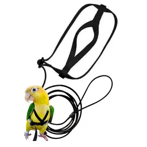 

Adjustable Parrot Leash Harness Training Rope Pet Bird Harness Flying Band Bird Rope Outdoor Training Rope Walking Lead Belt