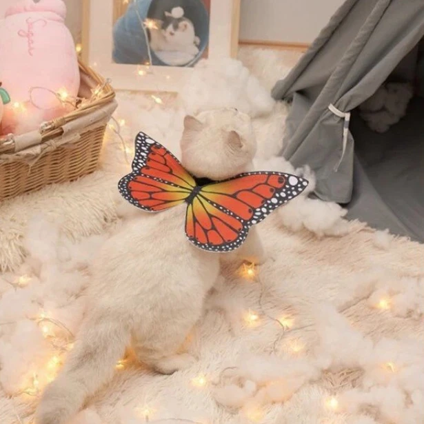 

Pet Butterfly Wings Clothes Pet Summer Clothes Pet Cat Costumes Puppy Vest T-shirt Breathable Pet Cosplay Chothes Cat Accessory