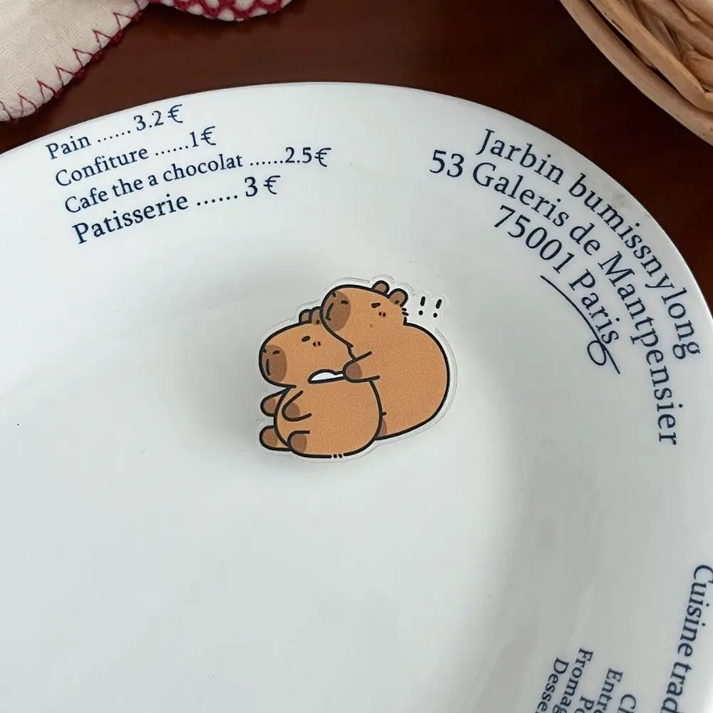 Ювелирные изделия акриловая булавка для капибары милые булавки забавные девушек