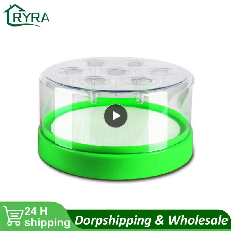 

Effectively Capture Flies Artifact Restaurant Indoor Capture Flies Trap Configuration Attractant