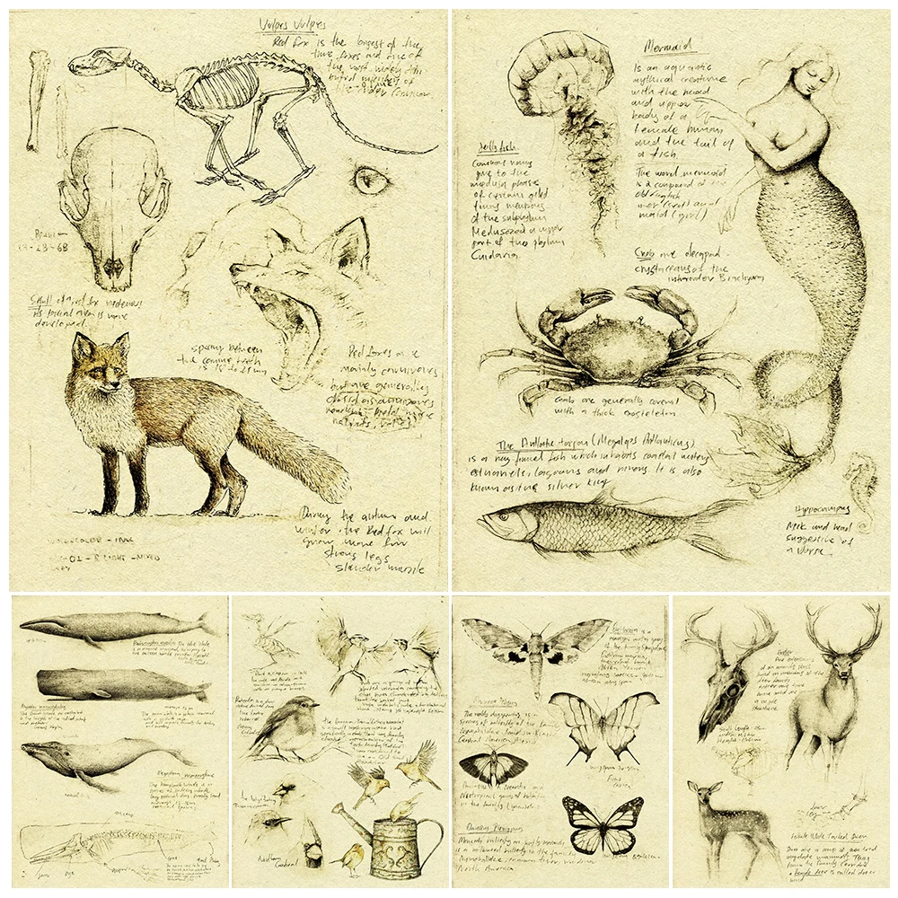 Drawing Art Poster Print Birds,butterflies,deer,mermaid Wall Art Print