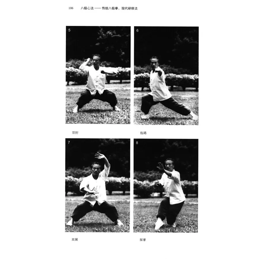 Фото Традиционная книга с восьмиполюсным кулаком Ba Ji Quan Ba Ji Xin Fa китайское кунг-фу вушу боевое искусство №2