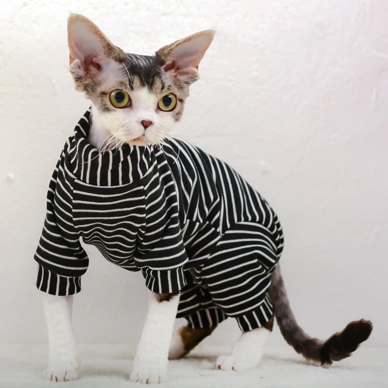 Одежда для кошек из сфинкса, хлопковый комбинезон для котят, зимние теплые  комбинезоны для кошек, толстовки, костюмы для сфинкса, Devon, одежда для  кошек | AliExpress