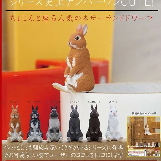 

KITAN CLUB Gashapon Figure Gacahpon Strange Sitting Rabbit Model Ornaments Capsule Toy
