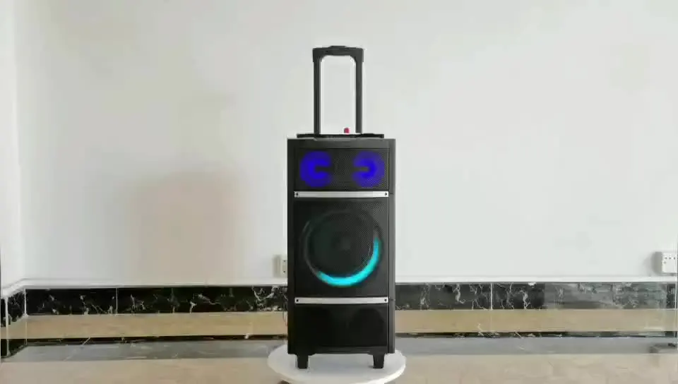 

2021 Hot selling 60w 8 inch Powerful professional speaker system Loud speaker DJ pad Outdoor trolley Speakers amplifier audio