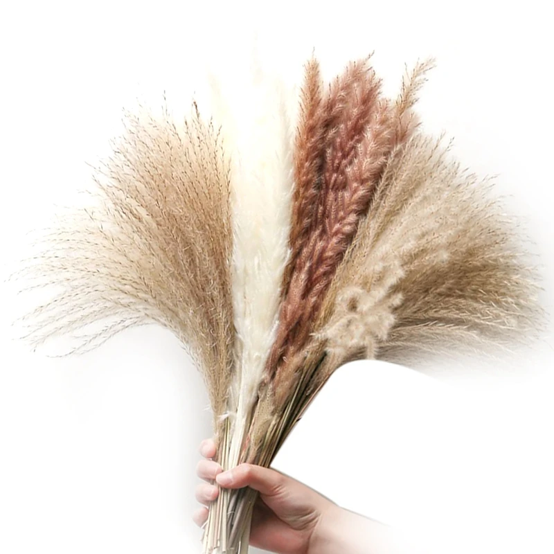 

100 шт., высушенные цветы, 16,92 дюйма