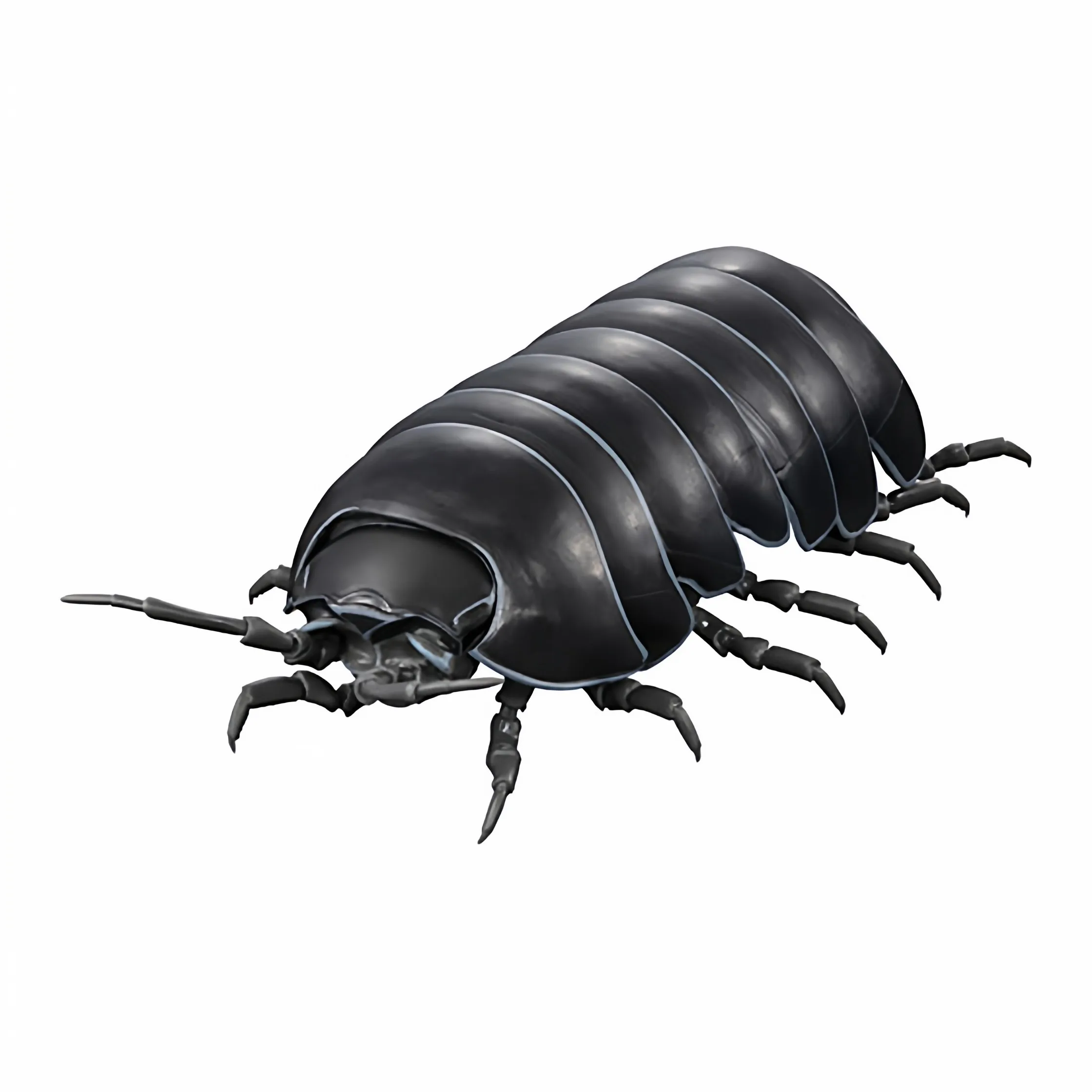 Фото Коллекционная фигурка Bandai Authentic Premium Gashapon Pill Bug, 140 мм, полностью подвижная, реалистичная модель изопода. Серия «Разнообразие жизни» для коллекционеров. №2