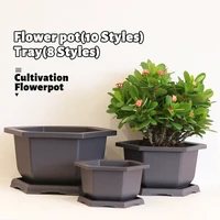 succulent flower pot imitation purple sand fleshy balcony hexagon plastic pot flower bonsai bowl plate nursery planter with tray