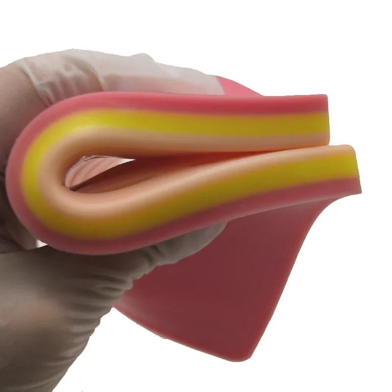 Силиконовая Модель Для Обучения Наложению Зубов Комплект Практики Наложения