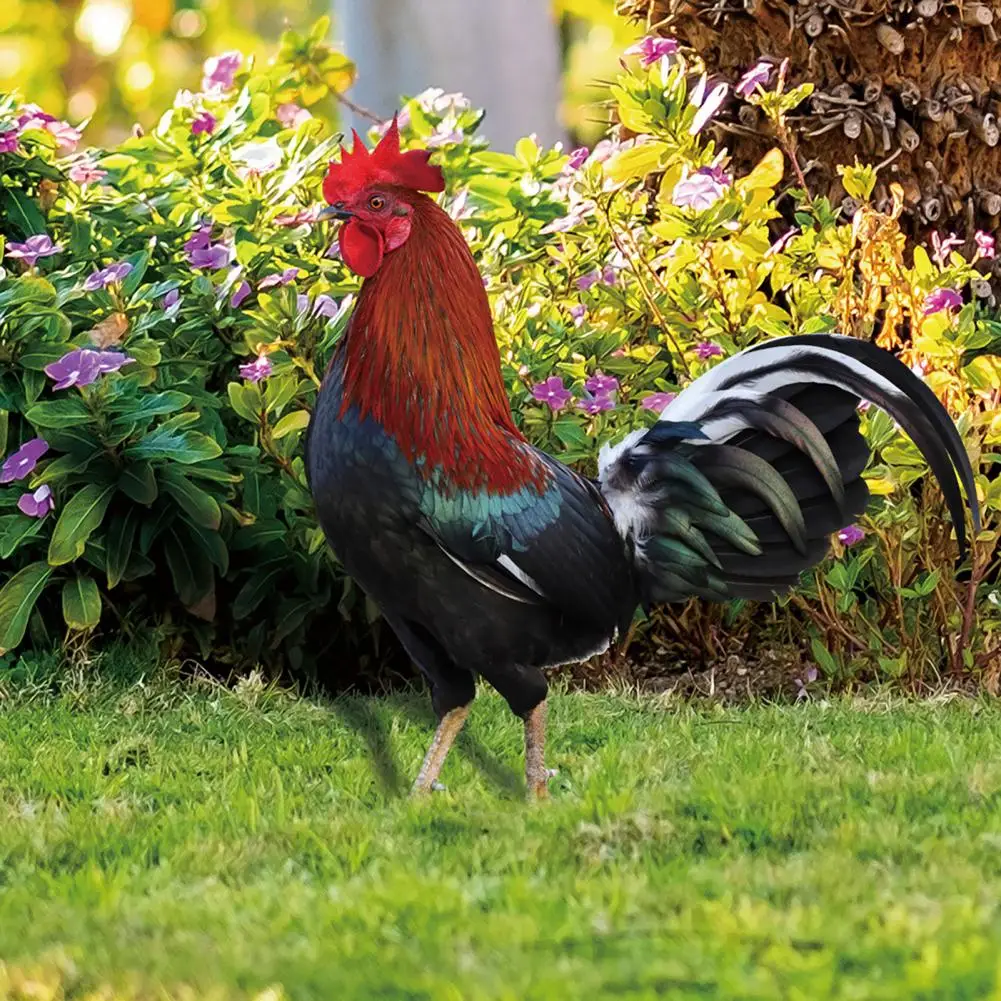 

Hot！Chicken Decor Life-like Eco-friendly Vibrant Color Outdoor Yard Acrylic Rooster Ornament Rooster Ornament for Garden