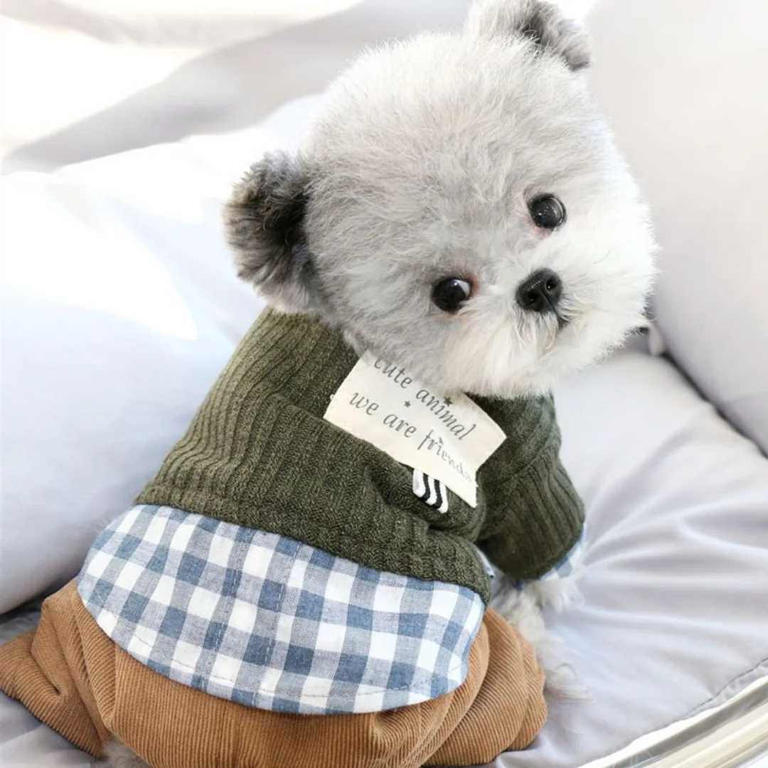 

Dog Clothes Autumn and Winter Autumn Teddy Sweatshirt Pomei Clothing Puppy Small and Medium-sized Cat Pet Supplies Kitty Puppy