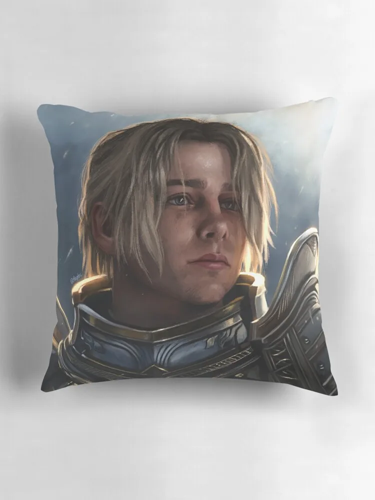 Диванная подушка декоративные подушки для роскошного дивана наволочка