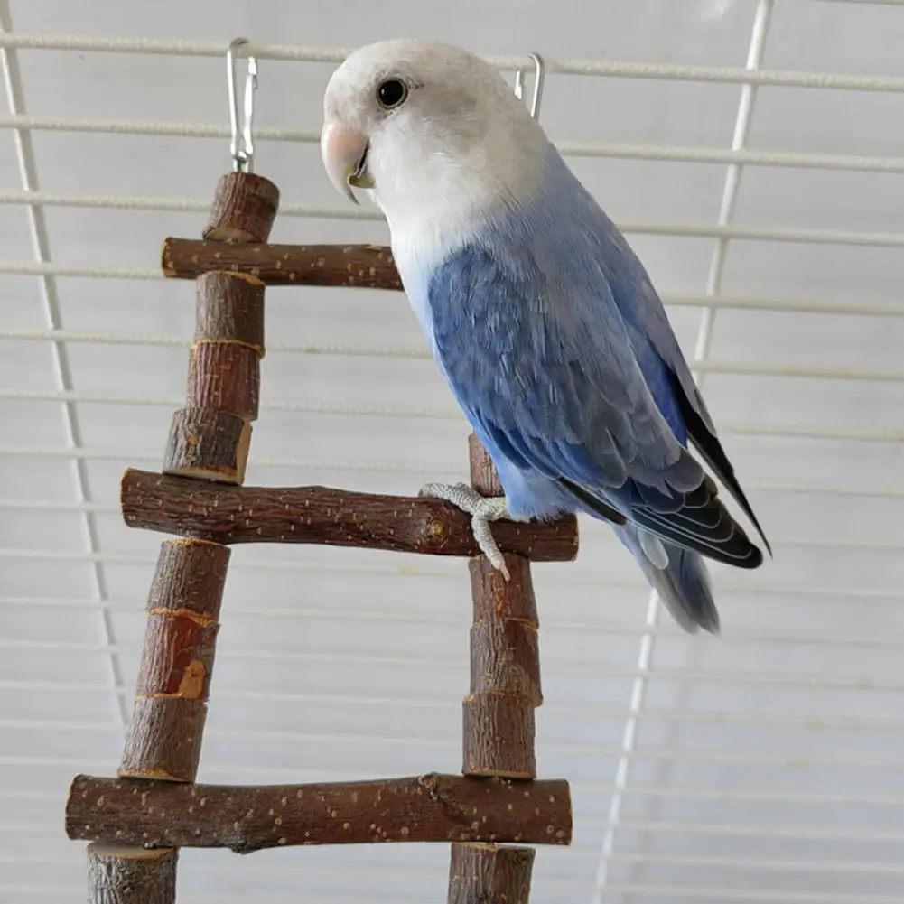 

Bird Wooden Toy Great Lightweight Simple Installation Pet Supplies Parrot Climbing Toy Bird Hanging Ladder