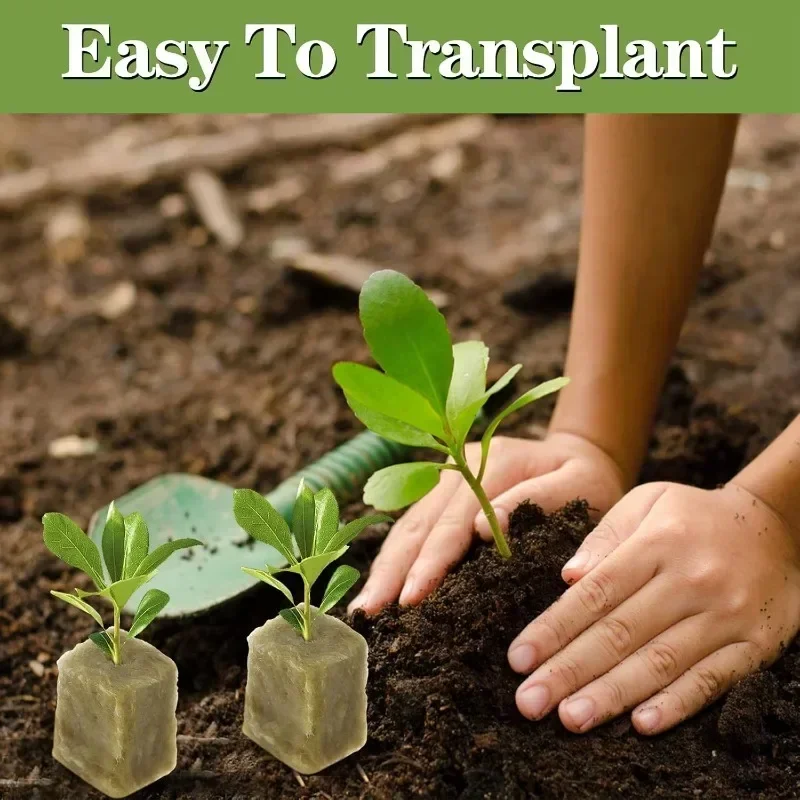 200/50 шт. губки для выращивания растений