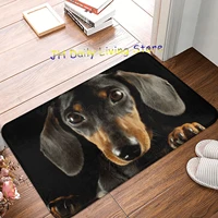 dachshund dog photo portrait doormat printed bedroom entrance floor mat balcony rug door mat pets animal decoration area rugs