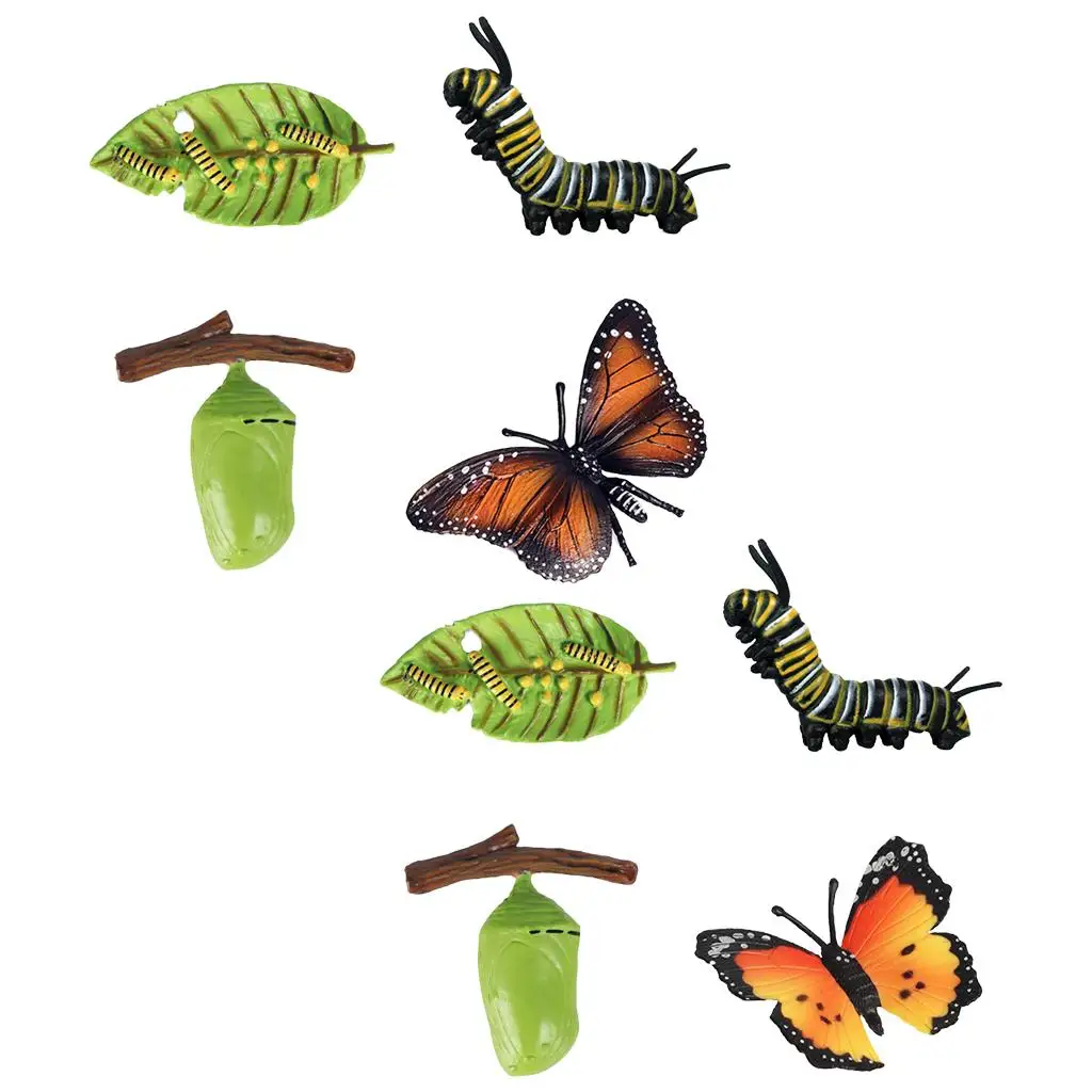 

Early Kids Insect Cycle Figures Butterfly Growth Model Toys Party Favors