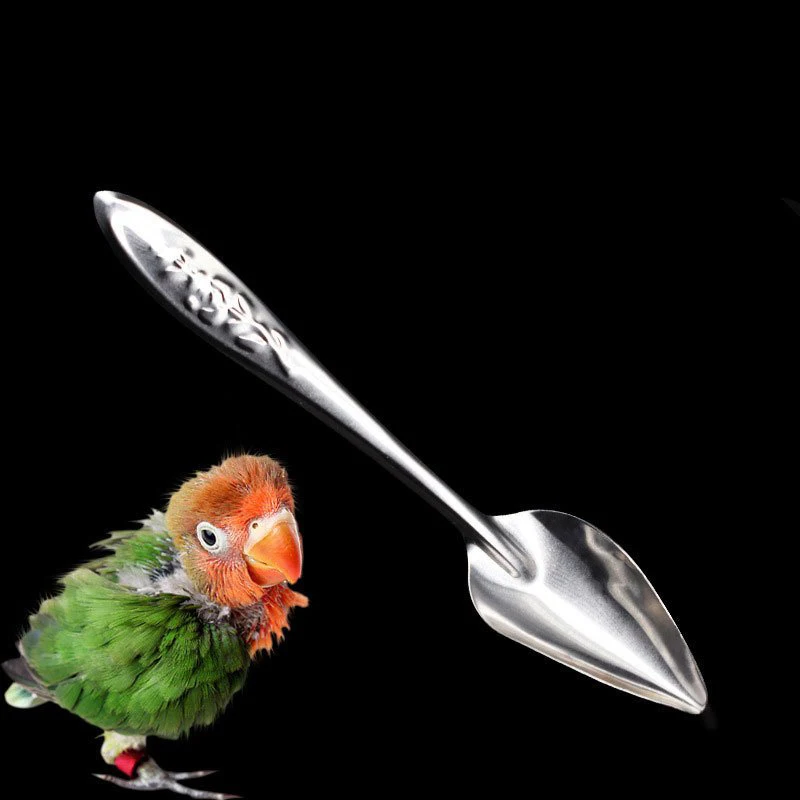 

2/4Pcs Bird Feeding Spoon Multifunction Medicine Water Milk Powder Parrot Stainless Steel Feeder Spoons Pet Feediing Supplies