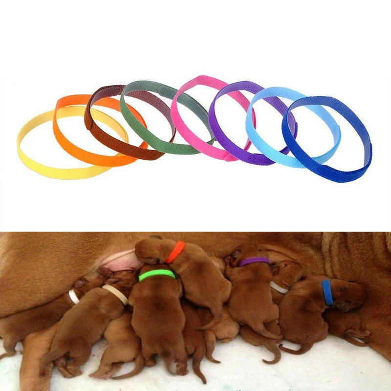 12 цветов один комплект мягкий ошейник для собак кошек щенков и котят | Дом сад