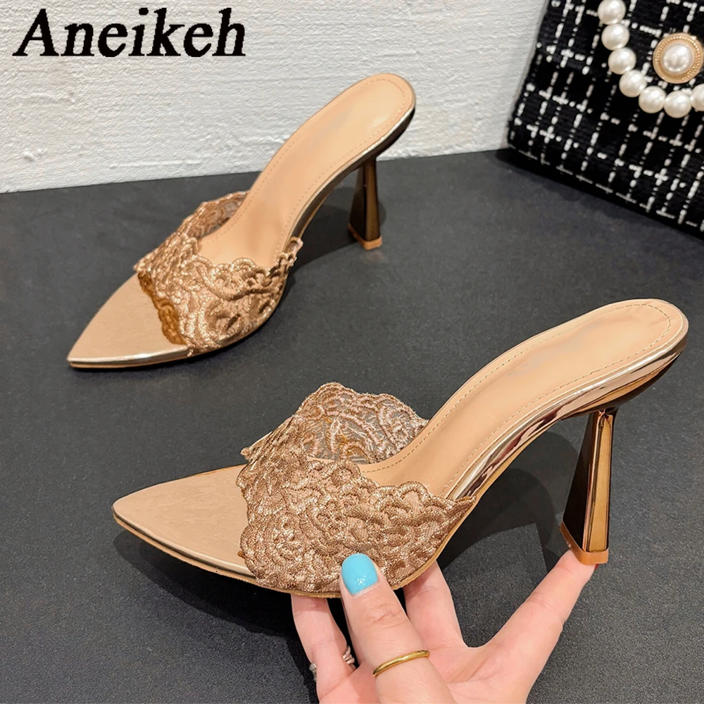 Женские шлепанцы с острым носком Aneikeh кружевные дизайнерские пикантные летние