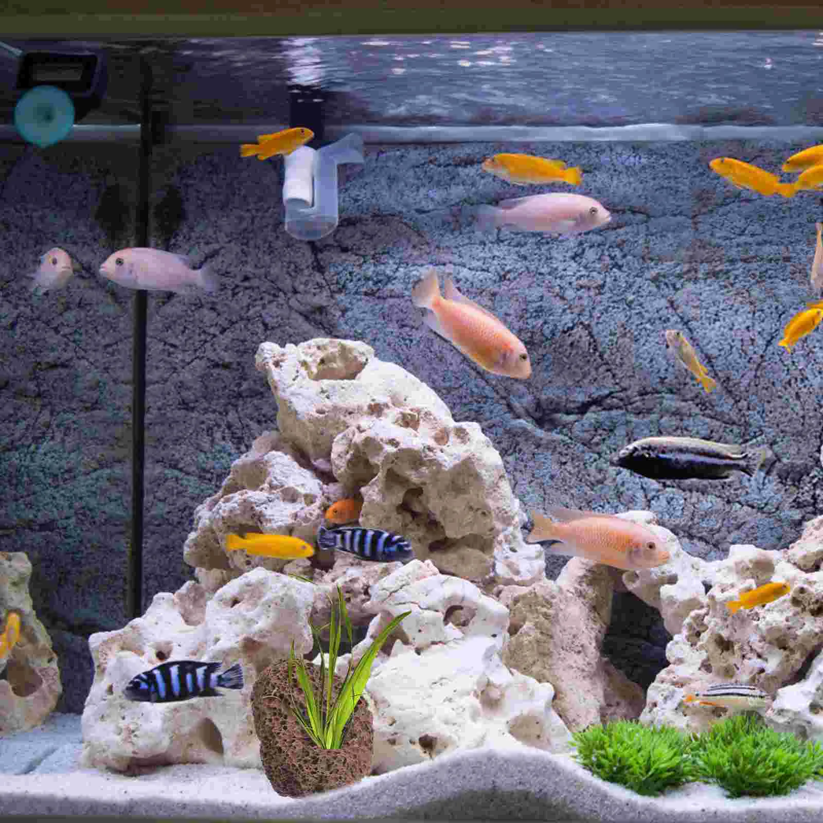 6 шт. миски для рыб центральных элементов кольцо колназации вулканического камня