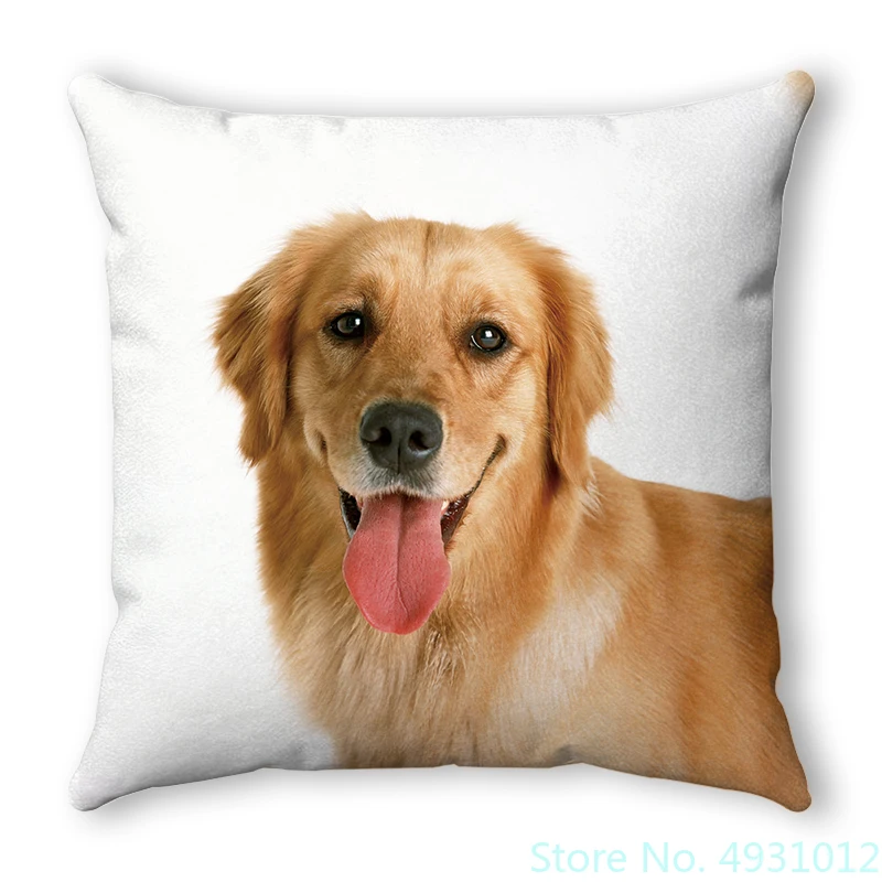 

Человеческие друзья, золотые Haired Dog, фотообои, Обложка 45x45 см