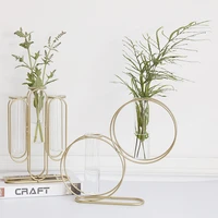 nordic gold wrought iron transparent glass test tube vase living room flower arrangement decoration hydroponic hydroponic plant