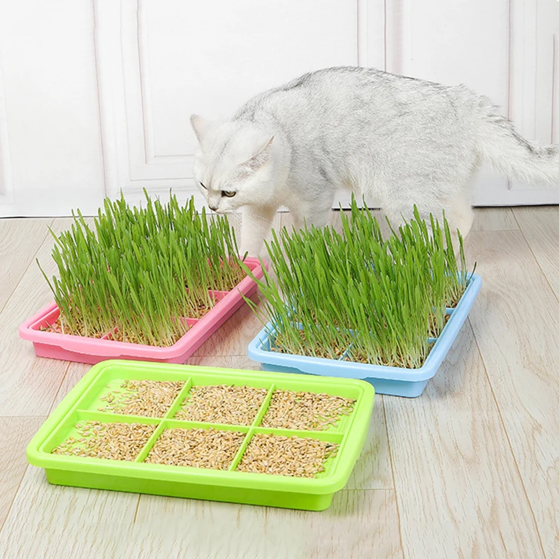 

Bean Sprouts Double-layer Dishes Plate Seedling Tray Plastic Hydroponic Flower Basket Flower Plant Home Garden Nursery Pots