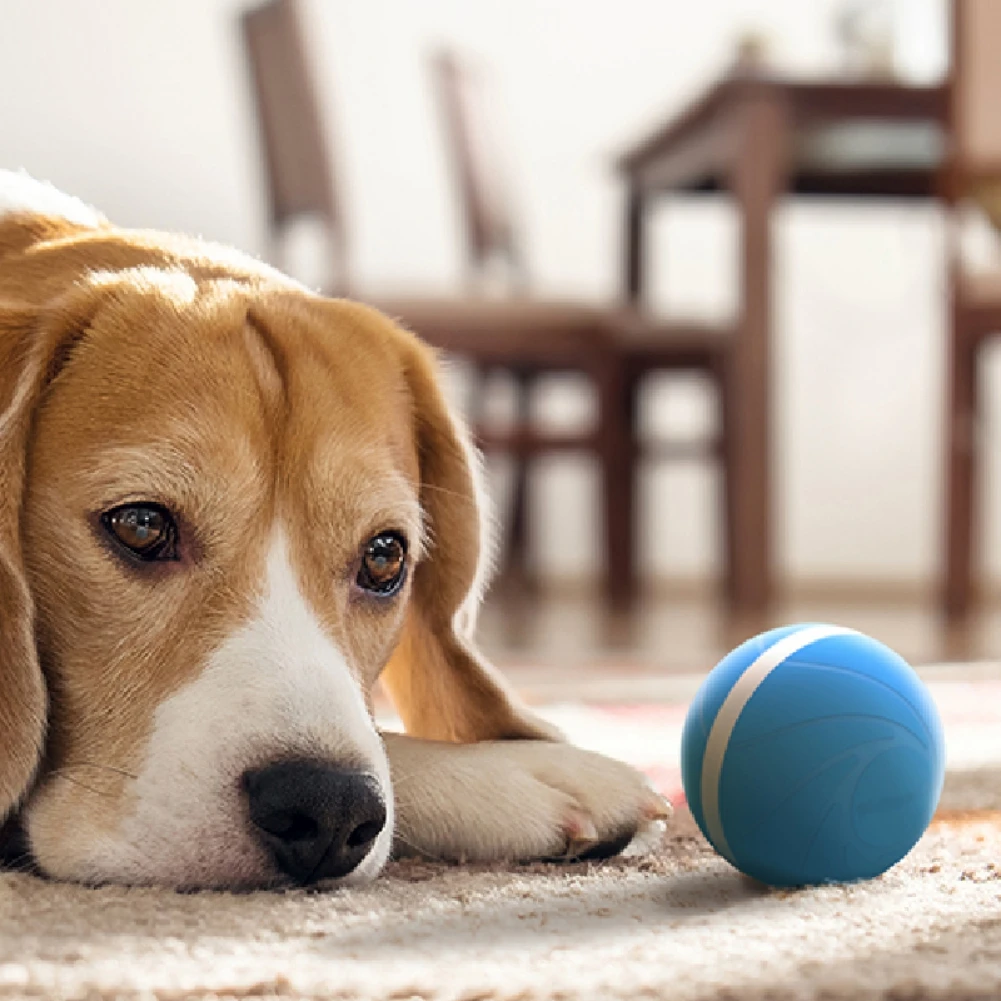 

Pet Ball Dog Toy LED Light Jumping Activation Ball Pet Dog Interactive Toys for Dogs Puppy Cat Chew Toys for Cat
