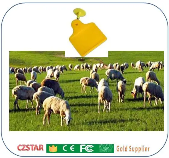 CZSTARRFID ушные бирки для животных UHF RFID