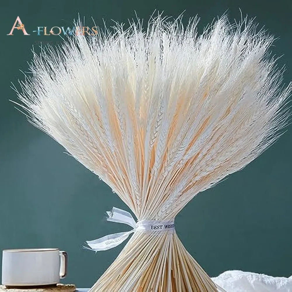 

100pcs Natural Ear of Wheat Grass Bundle Grain Dried Flowers Home Dining Table DIY Craft Flower Arrangement Art Wedding Decor