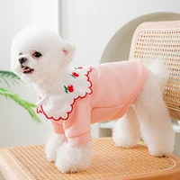 puppy cute cherry sweater autumn winter warm pullover teddy soft bottoming shirt pet fruit clothes fashion dog clothes