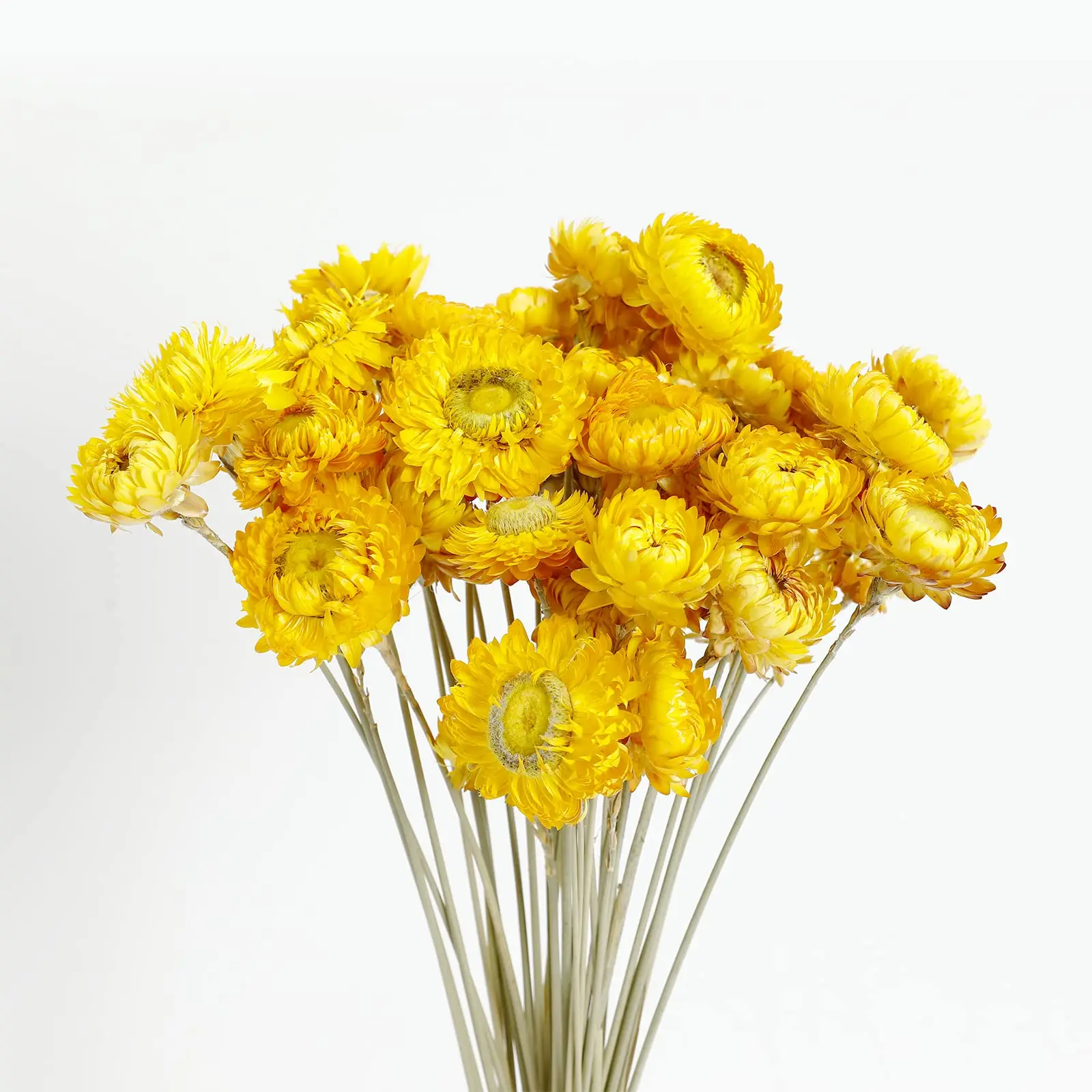 

Daisy Dried Flower Bouquet 100%Natural Chrysanthemum Dry Flower for Wedding Centerpieces Home Decor DIY Bridal Bouquet Material