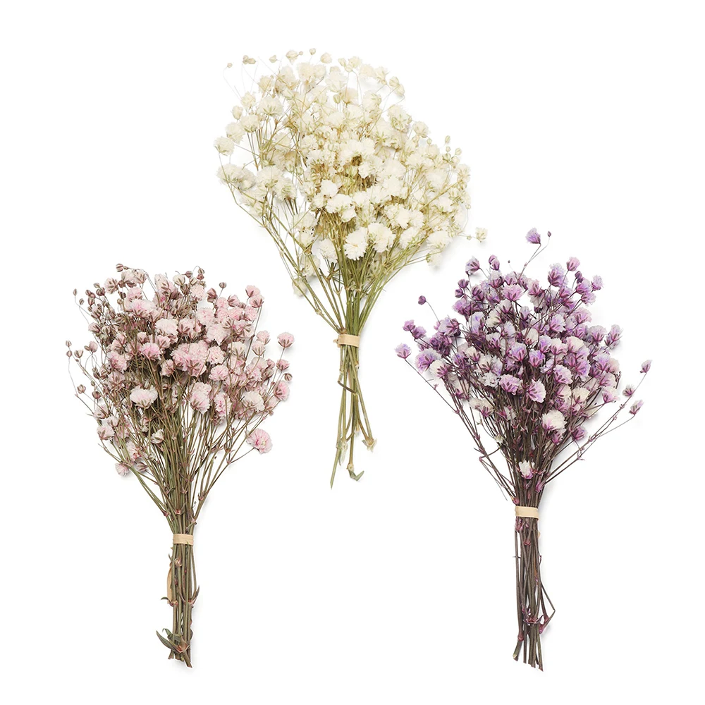 

Миниатюрные декоративные сушеные цветы, букет цветов, натуральные растения, сохраняющие цветы для свадебного украшения дома