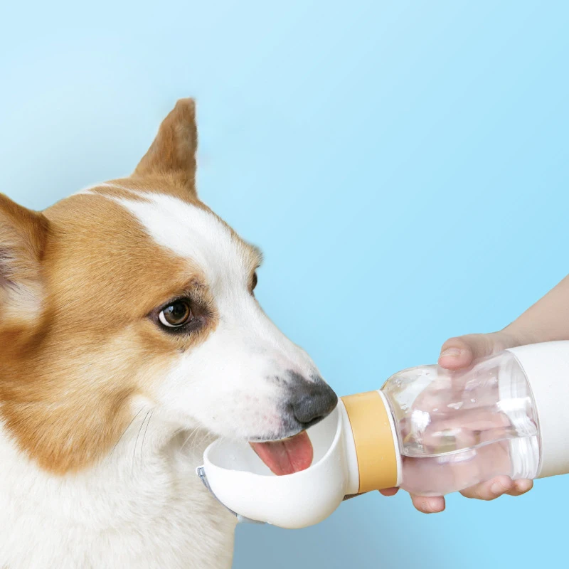 

Для собак и питомцев, портативная бутылка для воды, миска для питья, еда для щенков, кошек, дозатор воды для домашних животных, товары для кор...