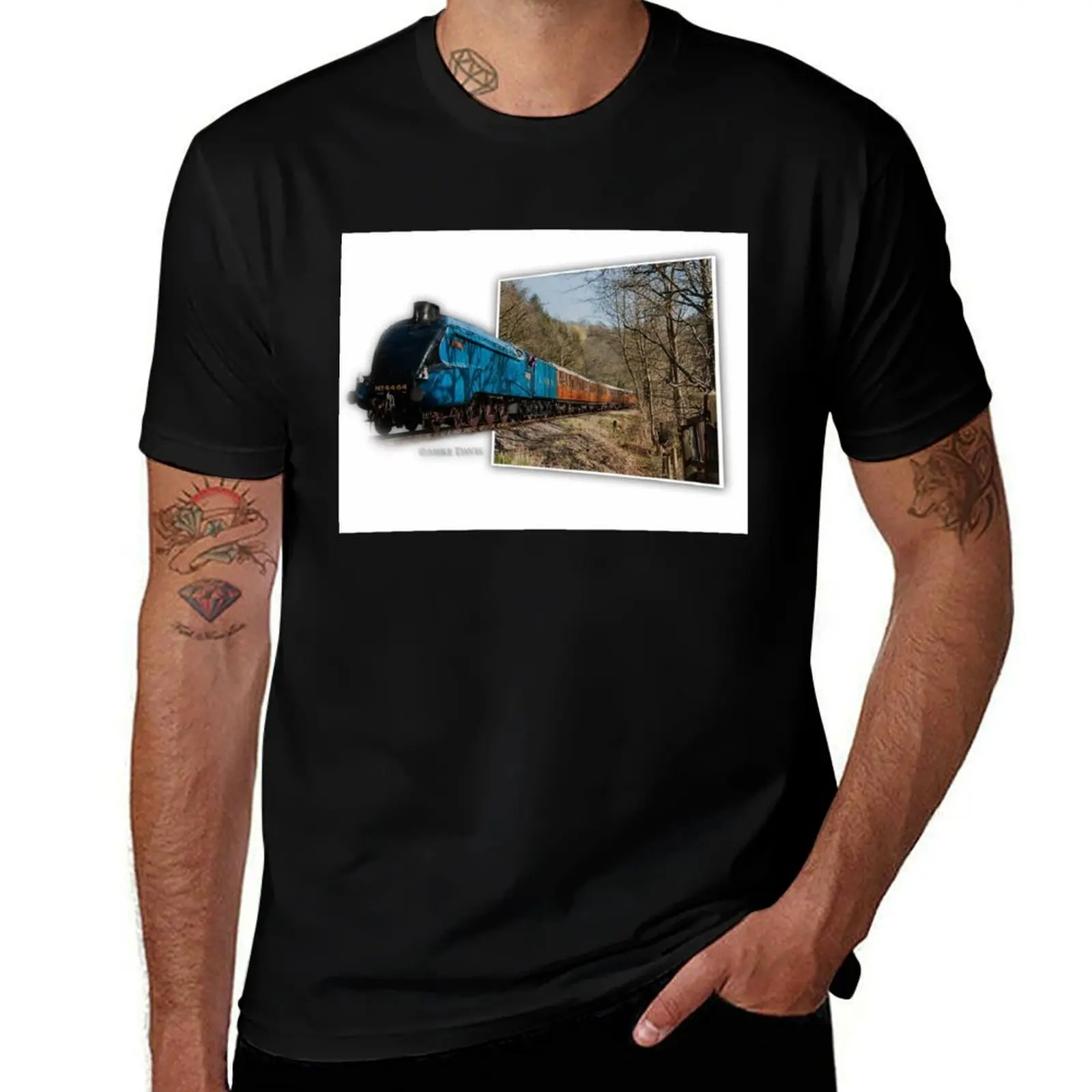 Фото Футболка с 3D-изображением паровоза LNER класса A4 4464 Bittern, повседневная, легкая, с коротким рукавом.
