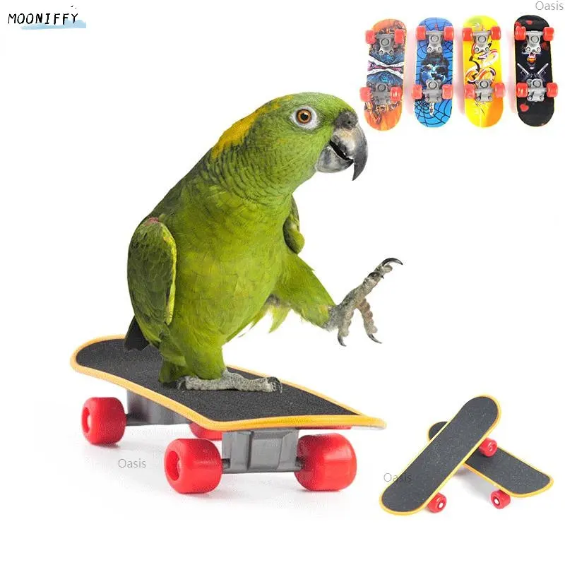 Bird Toys Funny Mini Skateboard Parrot Toy training Skateboard Budgies Parakeet Growth Toy Pajaros Intelligence Bird Accessories