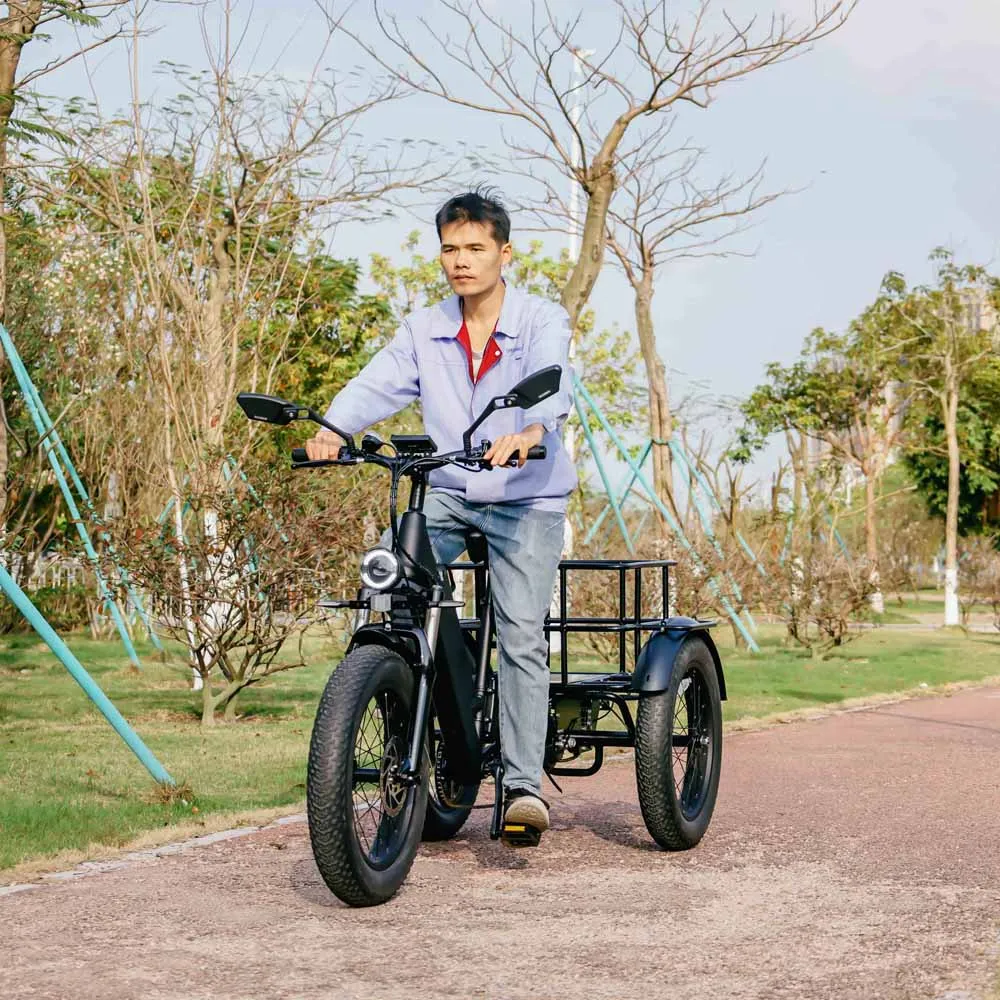 Популярный 3-колесный электрический велосипед 250 Вт трехколесный с толстыми